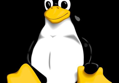 Tux, symbole de linux