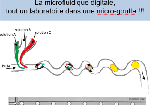 schéma microfluidique digitale
