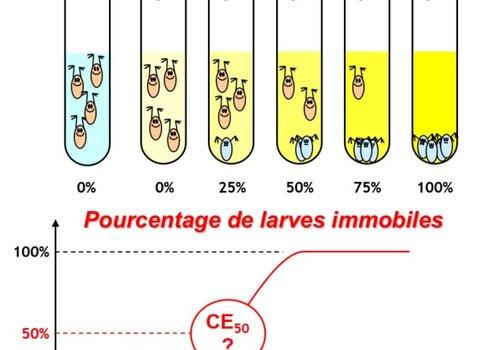 Principe des tests écotoxicologiques - gammes de concentration et courbe dose-réponse