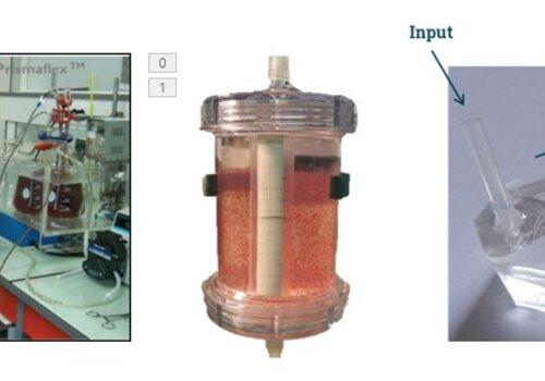 fabrication d'organes