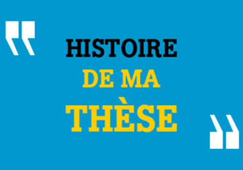 Un doctorant présente les raisons de son inscription en thèse et du choix de son sujet. Il décrit sa méthode de travail, évoque ses premiers résultats, ses éventuelles applications industrielles ou sociales et envisage son avenir professionnel.