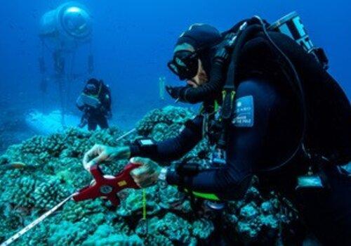 Au delà de la science qui tient une place prédominante pendant le programme Capsule, Under The Pole travaille pour sensibiliser aux menaces qui pèsent sur les récifs coralliens et la biodiversité qu’ils abritent à travers les documentaires, en donnant la parole aux scientifiques et via les programmes éducatifs menés dans les écoles.