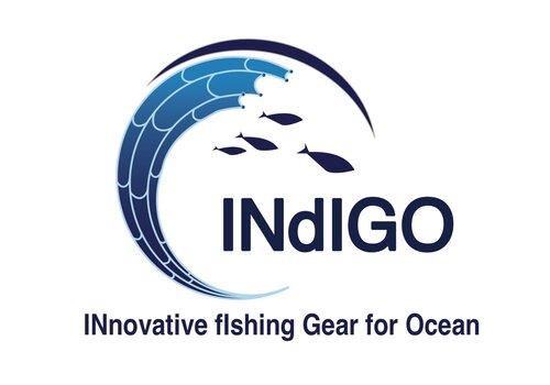 Logo projet INdIGO