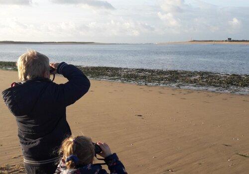 Observons les oiseaux hivernants et autres curiosités