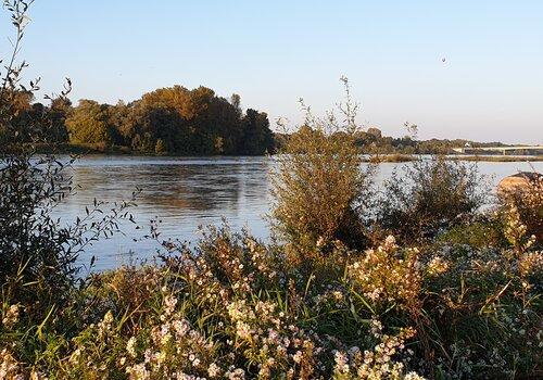 Bord de Loire