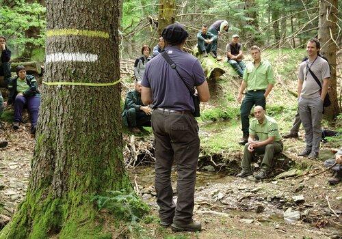 Journée arbre à intérêt écologique 