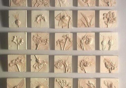 herbier de plâtre herbier de plâtre