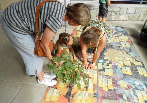  Famille avec le tapis d'identification des arbres