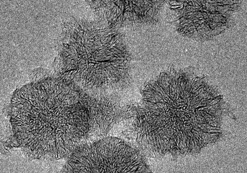 Image en microscopie électronique par transmission des carbones nanostructurés