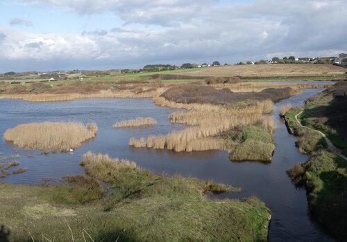 Le gestionnaire de la réserve naturelle des étangs du Loch propose une sortie ornithologique pour découvrir les différentes espèces d'oiseaux fréquentant le Petit Loch.