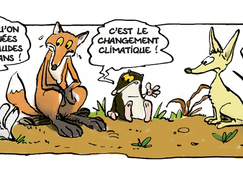 Extrait "Changement climatique et biodiversité"