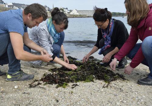 Atelier proposé par la Station Marine et le Musée de la Pêche de Concarneau