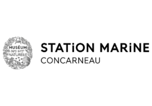 Table ronde proposée par la Station Marine de Concarneau