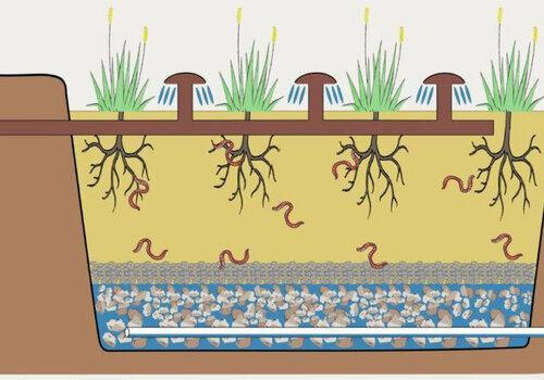 Filtre planté 2.0 - Tr@nsnet