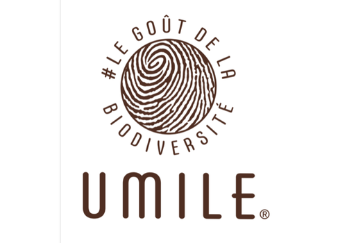 Image UMILE