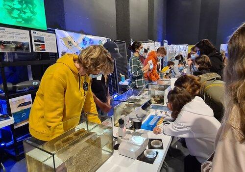 Atelier autour du vivant dans la mer