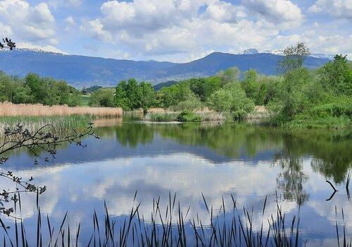 Vue panoramique de l'Etang de Haute-Jarrie