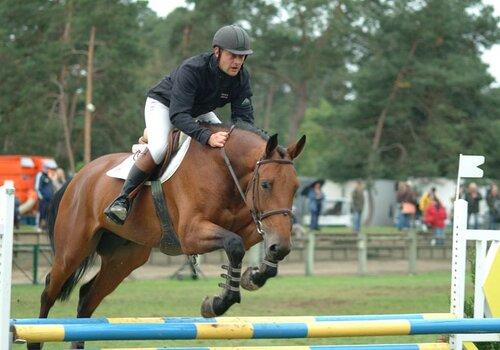 Concours de saut d'obstacle des chevaux de quatre ans lors de la grande semaine de l'élevage à Fontainebleau.