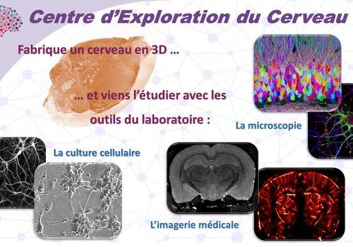 Centre d'exploration du cerveau