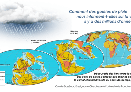 Comment des gouttes de pluie nous informent-t-elles sur la vie il y a des millions d’années ?