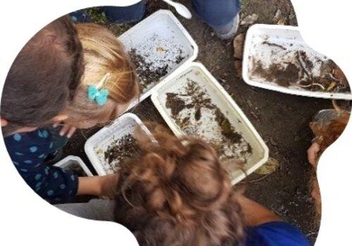 Atelier hydrobiologie