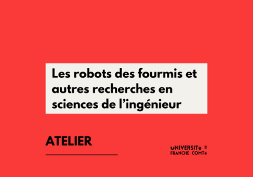 Les fourmis et autres recherches en sciences de l’ingénieur