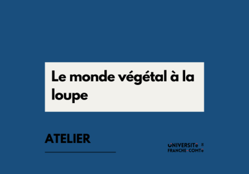 Le monde végétal à la loupe