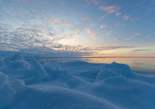 Antarctique