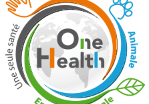 Logo One Health