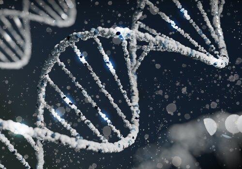 modélisation de la double hélice d'ADN