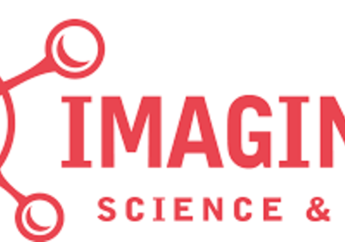 imaginex-logo