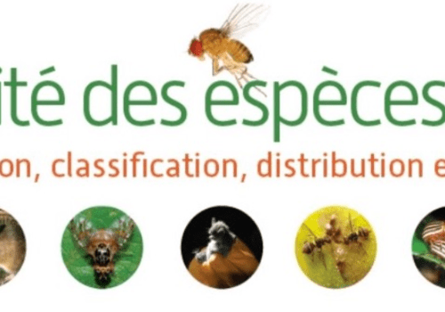 Biodiversité et santé