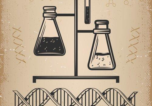 Support de laboratoire sur lequel se trouvent trois fioles remplis de liquide