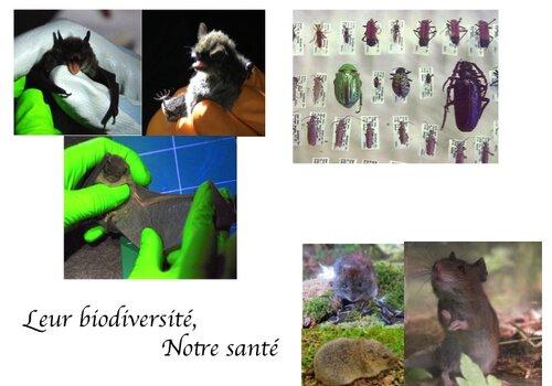 Biodiversité et santé