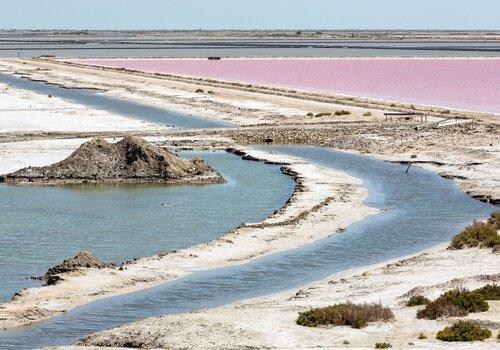 salins