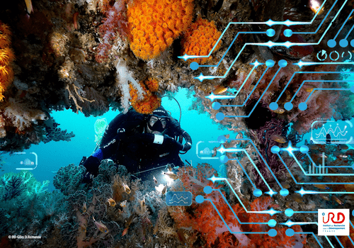 Conférence IA et Biologie marine - IRD Nouvelle-Calédonie