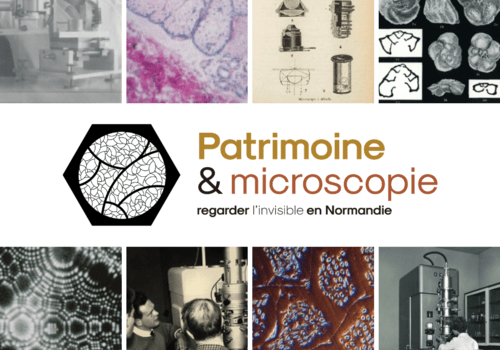 Exposition Patrimoine & Microscopie