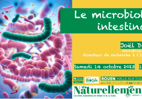 Le Microbiote Intestinal | Fête De La Science