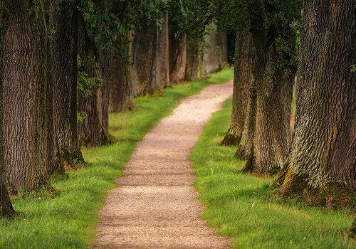 Sports et Nature