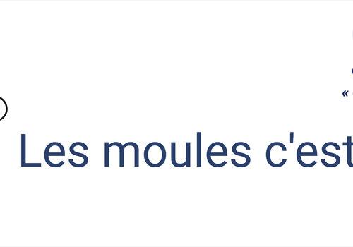 Logo atelier "les moules, c'est cool" avec dessin de deux moules avec des yeux et le sourire