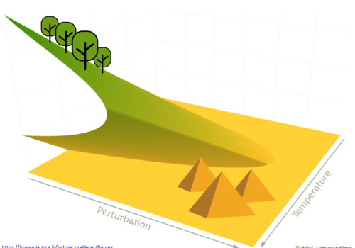 Dynamiques et bascules environnementales