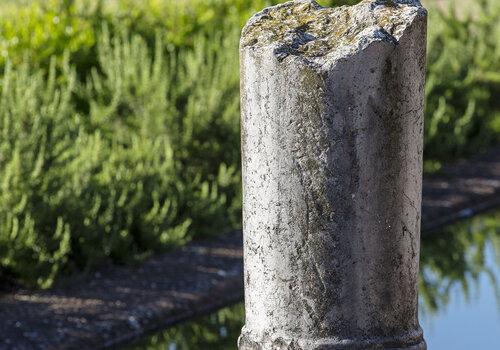 colonne antique, bassin et végétation , site de Saint-Romain-en-Gal