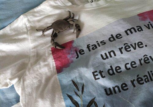 Le crabe est imprimé en 3D. L'image est imprimée sur le T-shirt.