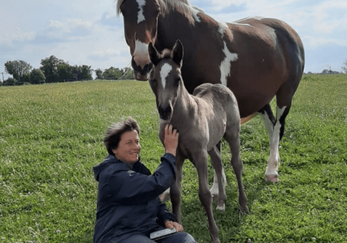 Une femme assise sur l'herbe caresse un poulin, un cheval se tient juste derrière ce dernier.