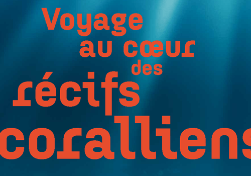 Exposition Voyage au cœur des récifs coralliens