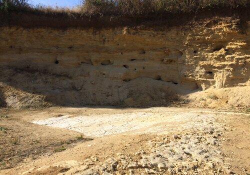 Les Faluns du blésois dans la réserve naturelle régionale géologique de Pontlevoy sont des dépôts de sable provenant d'une ancienne mer qui se nomme la Mer des Faluns. Ces dépôts ont eu lieu il y a 16 millions d'années