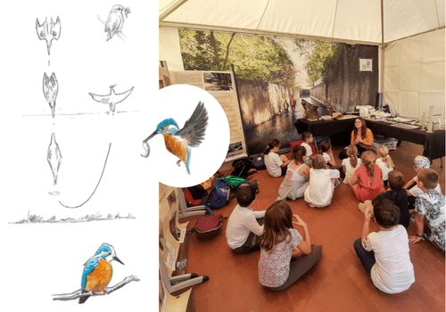 Dessins naturalistes de Martin pêcheur en train de plonger et stand du muséum au village des sciences