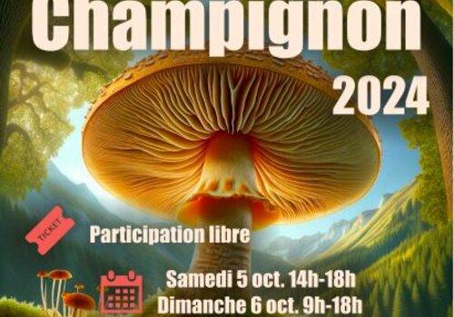 Affiche Salon Champignon PAU