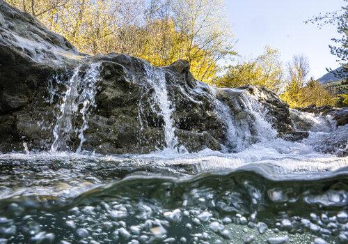 vue d'une rivière avec arbres en arrière plan