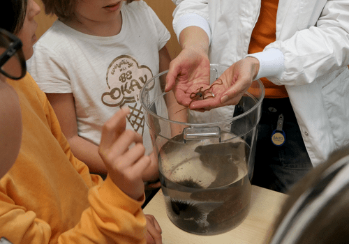 Scientifique montrant à des enfants un animal marin étudié dans leur laboratoire à Villefranche-sur-Mer